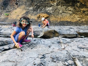 Kids love fossil-hunting for dinosaur bones in the river beds near Courtenay.