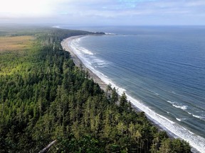 The coastline and sandy beaches of the north beach, atop tow hill in Haida Gwaii.