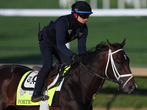 Forte trains on the track during morning workouts for the 149th running of the Kentucky Derby at Churchill Downs on May 05, 2023 in Louisville, Kentucky.