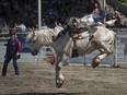 Watching bareback riding at the Cloverdale Rodeo is one possibility for Victoria Day weekend.