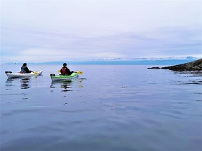 Kayaking Victoria Harbou