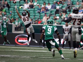 BC Lions receiver Jaquarii Roberson