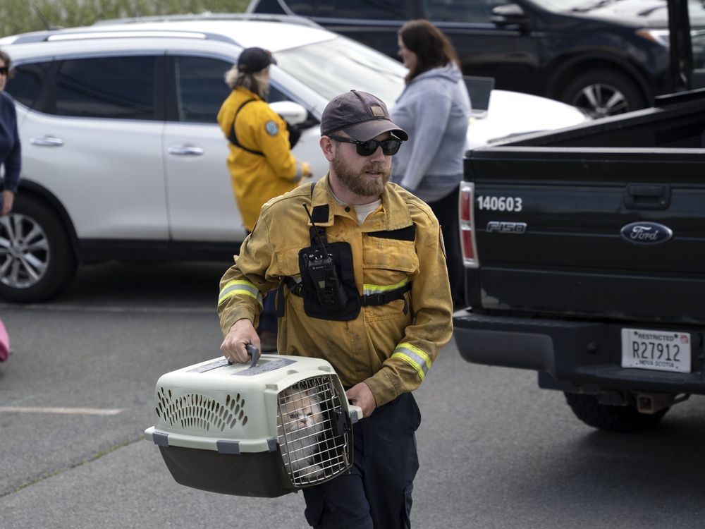 Halifax wildfire: Officials worry that high winds will cause 'reburn' in subdivisions