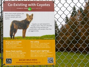 Coyote warning signs.