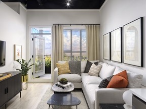 Pura display suite living room