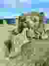 sand castle in shape of lion