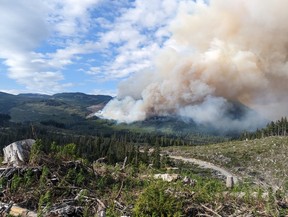 The Newcastle fire burning about five kilometres away from the Village of Sayward on Vancouver Island.