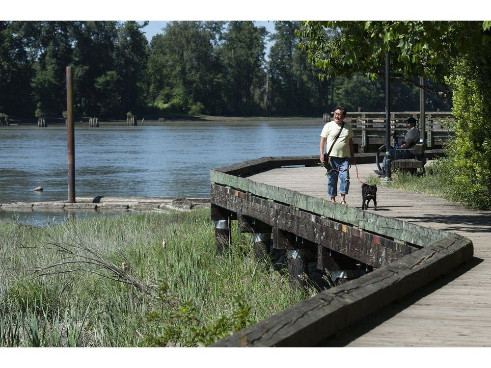 Vancouver's River District grows from ghost town to thriving community