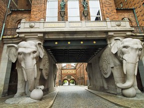 Elephant gates
