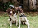 Anton and Arti are the latest graduates of the Canines for Care training program.