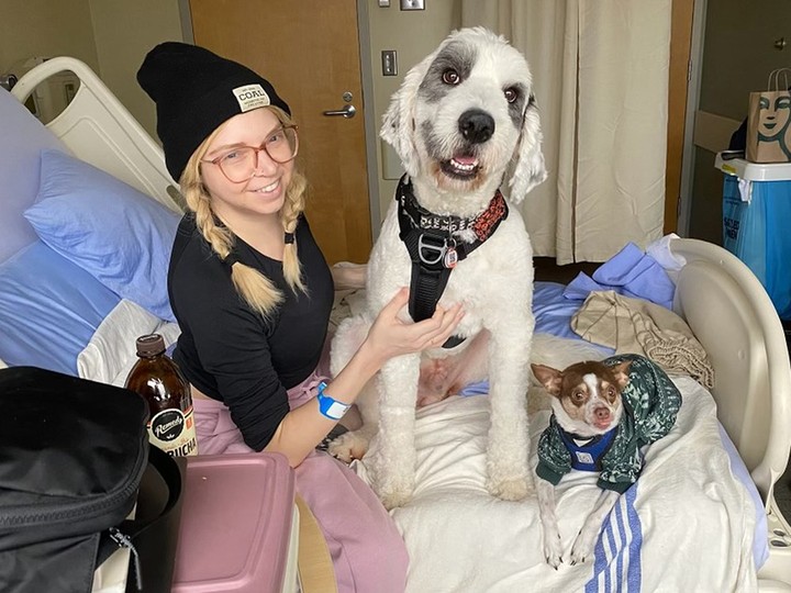  handout photo of sam o’neill, who died days before her 35th birthday, in hospital with her dog, jack, and a friend’s dog, bella.