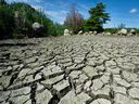 File photo showing drought conditions in B.C.