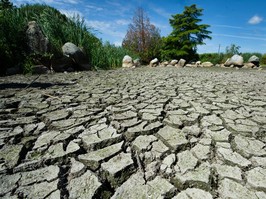 Charleson Park in Vancouver's Olympic Village is one of several man-made ponds that has dried up as the provincial drought worsens. [PNG Merlin Archive]