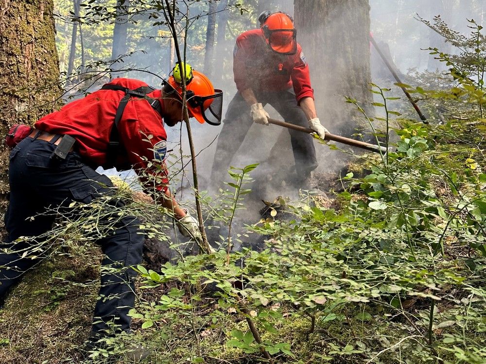 Mount Seymour wildfire on North Shore under control | Vancouver Sun