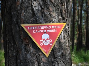 This photograph shows a plate reading "Danger mines" set in a tree in the forest outside Izyum, Ukraine.