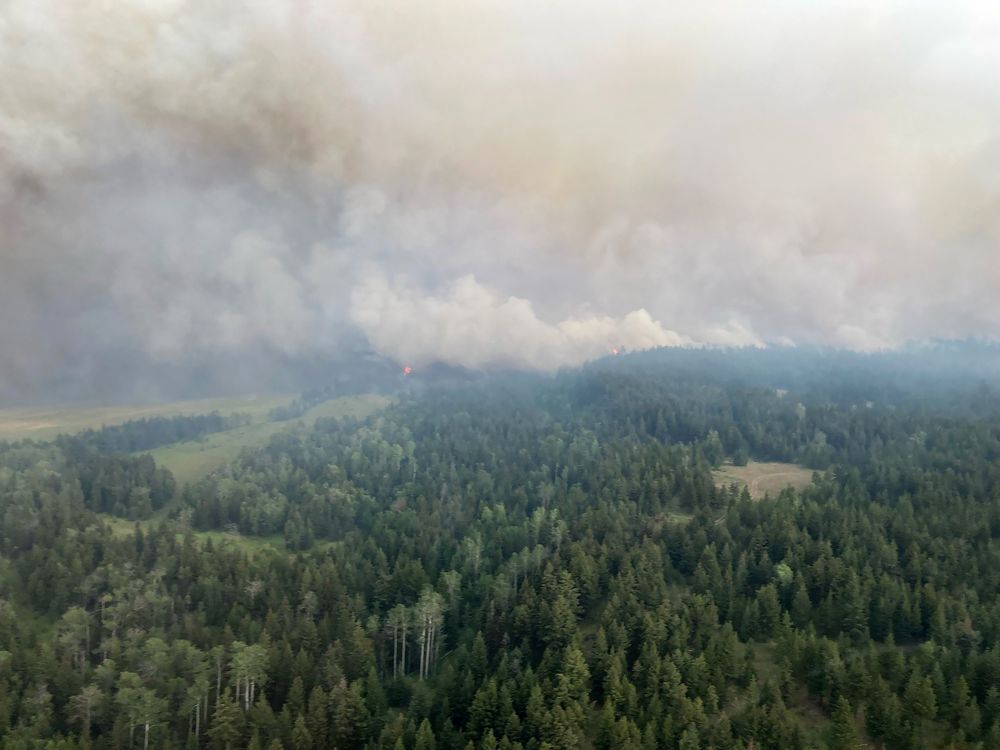  an evacuation order covering hundreds of properties south of kamloops, b.c., has been scaled back to an alert as crews make good progress containing a wildfire about 10 kilometres south of the city.