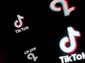 TikTok's guidelines say the advancement of AI "can make it more difficult to distinguish between fact and fiction, carrying both societal and individual risks."