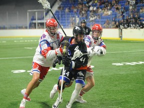 Dane Dobbie of the Langley Thunder tries to slip between two New Westminster Salmonbellies defenders Saturday night in Game 6 of their Western Lacrosse Association final at the Langley Events Centre.