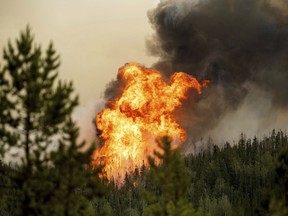 Flames from the Donnie Creek wildfire burn along a ridge top north of Fort St. John.
