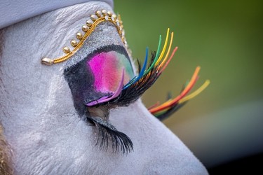 A performer's makeup is finished with rainbow eyelashes for the Pride Parade at English Bay in Vancouver, B.C., Sunday, Aug. 6, 2023.