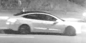White Tesla witness