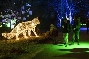 PNE Winter