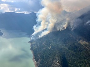 About 160 firefighters battling a blaze in the British Columbia Interior have had to pull out of their camp after they were subjected to what the BC Wildfire Service calls "persistent bear activity." The Downton Lake wildfire near Gold Bridge, B.C., burns in this recent handout photo.