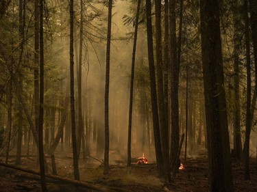 Hot spots from the Lower East Adams Lake wildfire burn in Scotch Creek, B.C., on Sunday, Aug. 20, 2023.