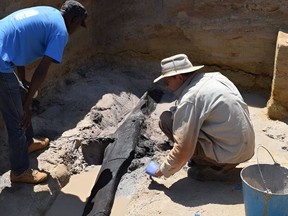 Scientists uncover the remains of what might have been a wooden structure built by hominins roughly half a million years ago in Africa.
