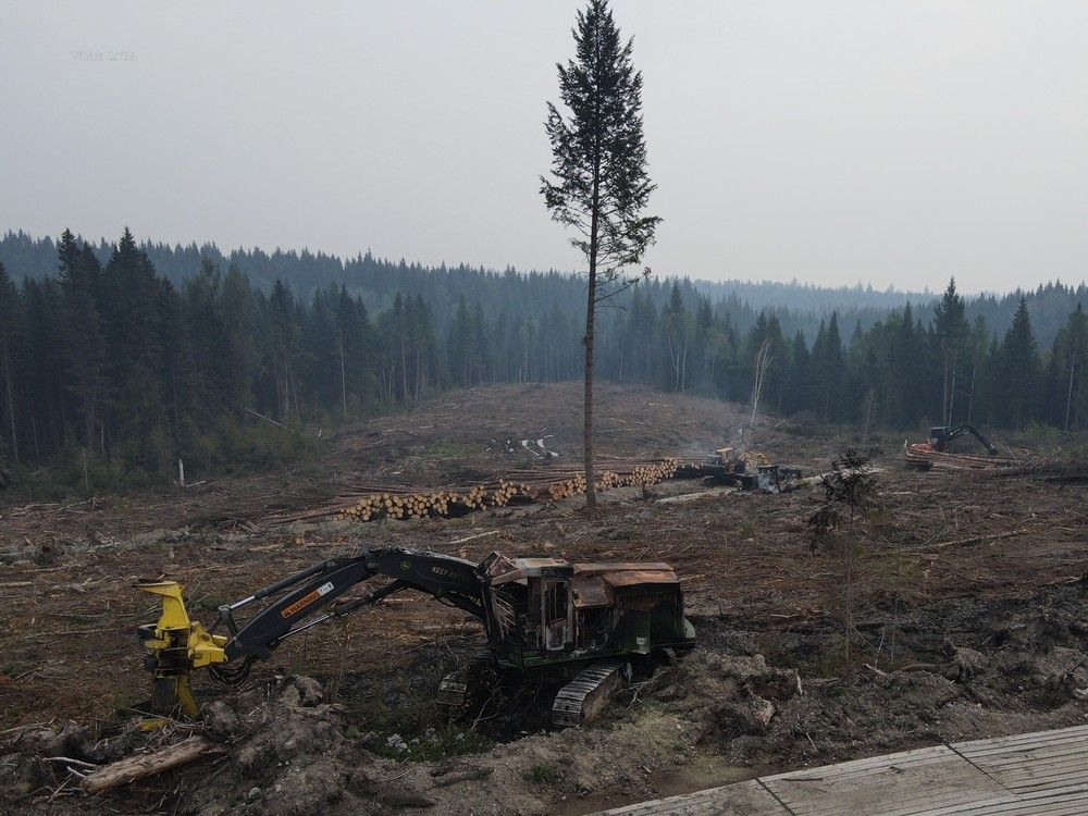 Mounties investigating logging site arson in Prince Vancouver Sun
