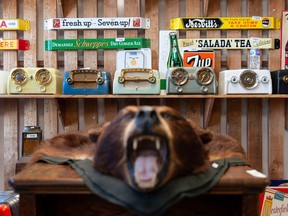 Bear.