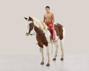 horse