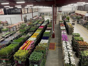 united flower growers