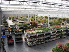 Van Belle Nursery