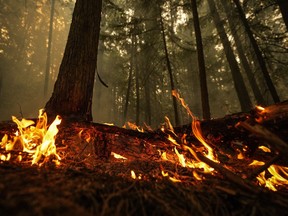 wildfires