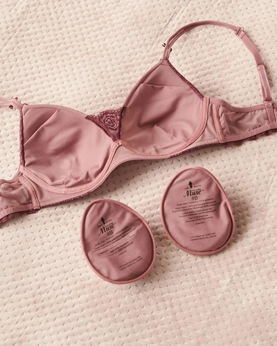 Studded bra for breast cancer awareness fundraiser stolen from Robeson Co.  restaurant
