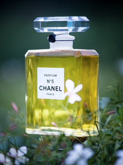 Exploring the field-to-factory fragrance creation of CHANEL perfume