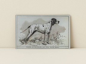 Pointer Dog decoupage glass plate by Hopson Grace.