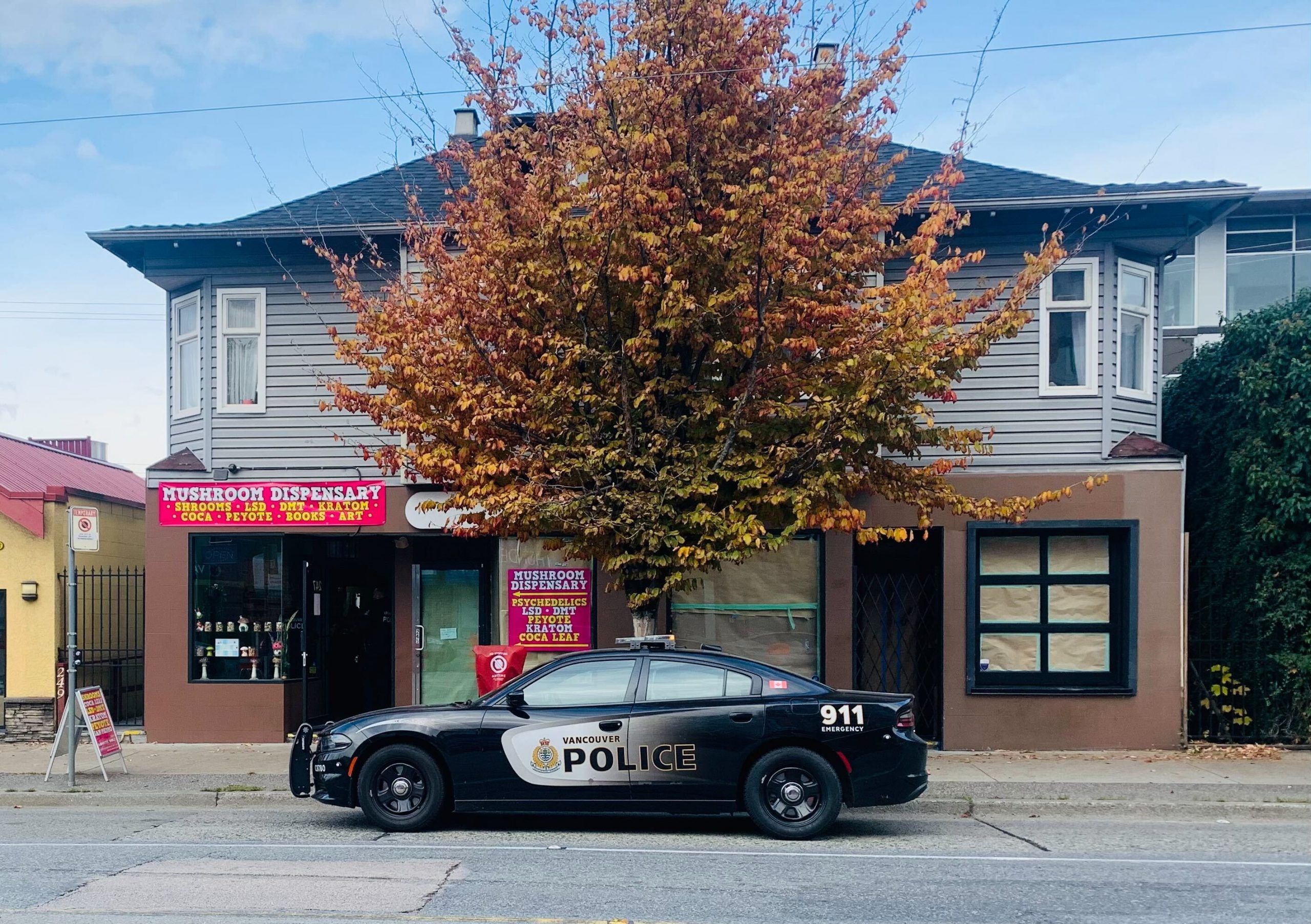 温哥华警方破获三家非法销售蘑菇和迷幻药物的店铺