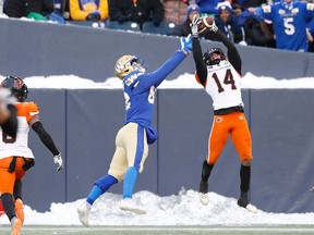B.C. Lions defensive back Marcus Sayles (14) picks off a pass intended for Blue Bombers wide receiver Drew Wolitarsky (82) in last year's West final at IG Field in Winnipeg.