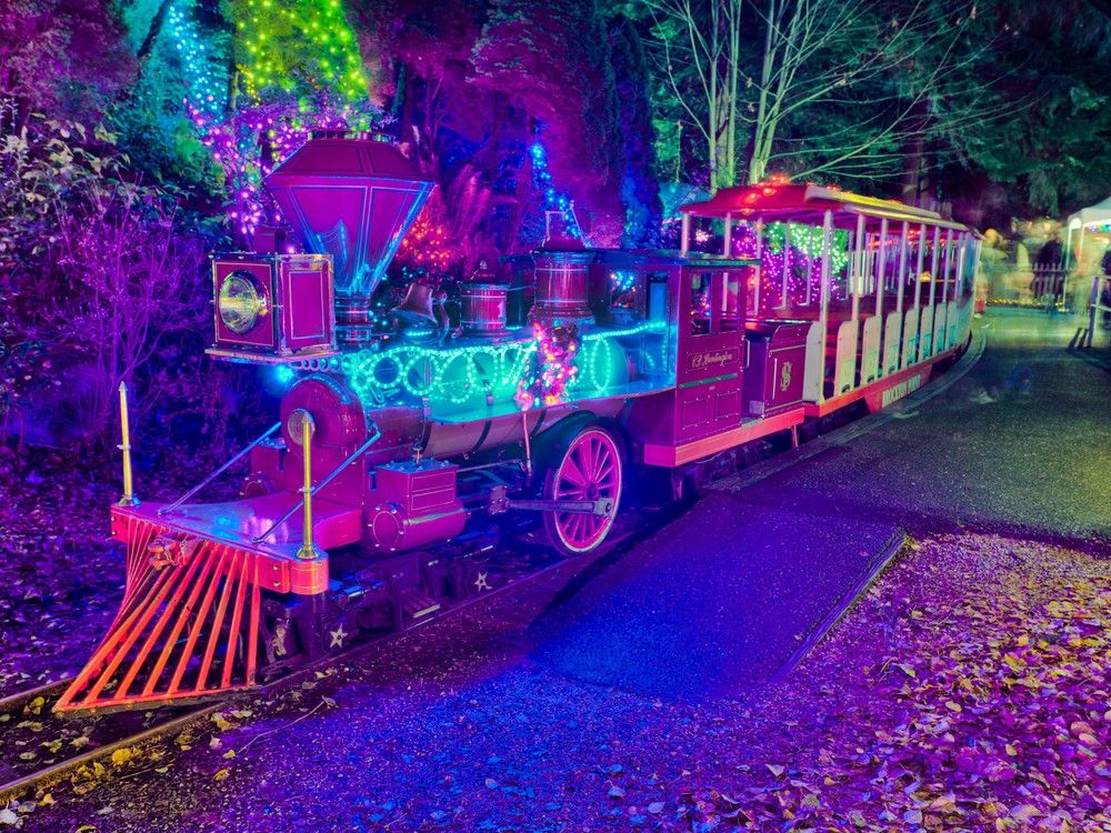 Stanley Park train operations suspended again | Vancouver Sun