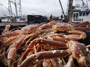 Crab are shown on the dock at St. John's Harbour on Thursday, May 6, 2021. A federal Fisheries and Oceans Canada employee in Newfoundland and Labrador, is facing five criminal charges, including bribery.