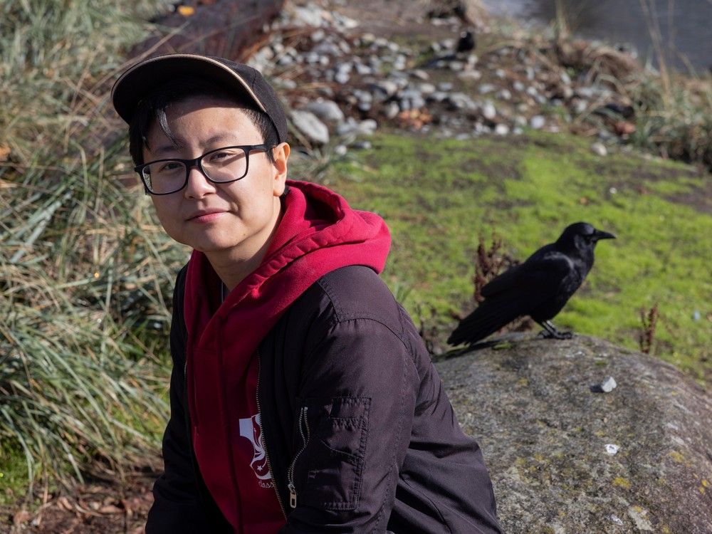 温哥华男子与“古怪”的虚拟湾乌鸦之间发展出不寻常的友谊