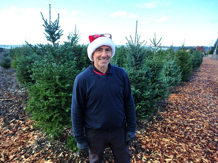  richard davis, owner of oh christmas tree farm in action in langley, b.c., on november 15, 2023. (nick procaylo/postmedia)