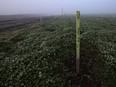 Trans Mountain pipeline running across Abbotsford farmland.