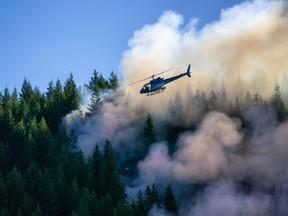 forest fires british columbia ubc research