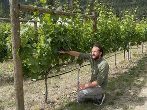 Matt Sartor, the president and viticulturalist at Solvero Wines, discusses the grapes at the winery located in Summerland, B.C.'s Garnet Valley.