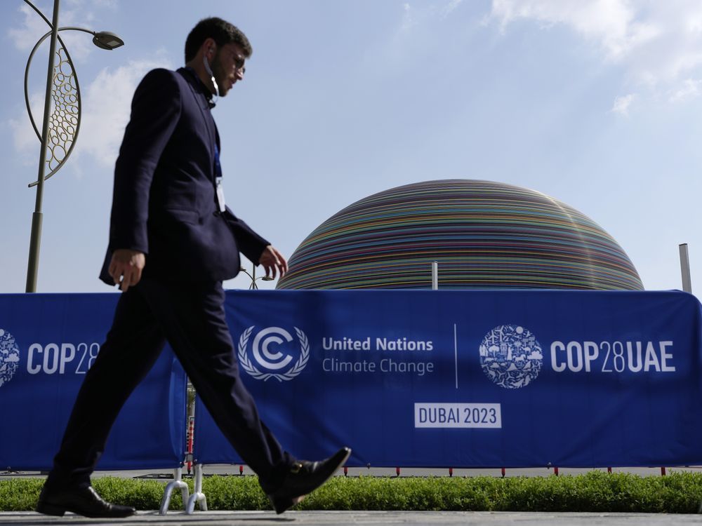 COP28达成协议，决定偏离化石燃料，B.C.气候新闻吸睛标题