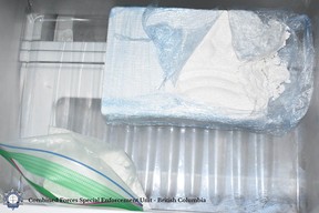 Un homme de Colombie-Britannique accusé de trafic de drogue et d'arme à feu après une enquête pour trafic 2 Le CFSEU s'attaque à la cocaïne