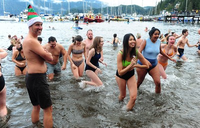 Polar bear swims in Metro Vancouver: Here's where to make a splash
